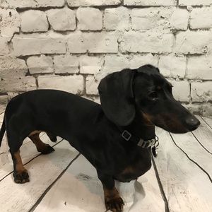 Meet your Posher, Taherra